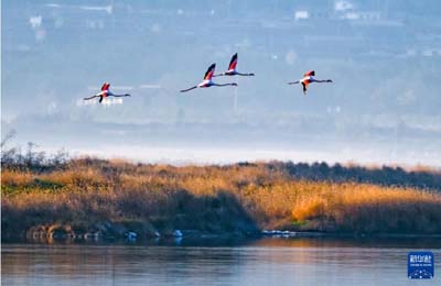  初冬時(shí)節(jié)，神州大地開(kāi)啟“美顏”模式  